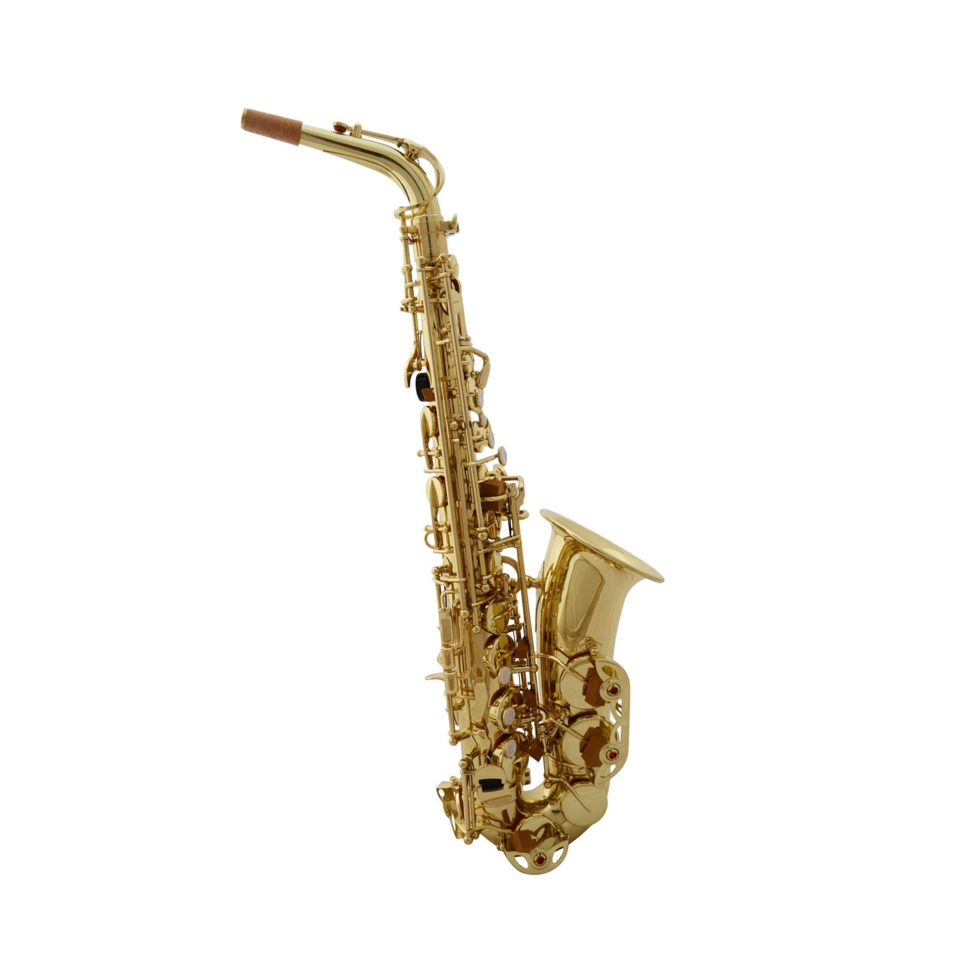 Strumento Musicale Sassofono Contralto In Mi Bemolle Professionale Verniciato Sassofono