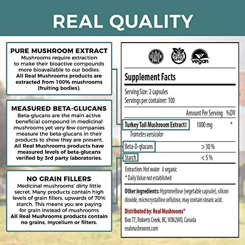 Real Mushrooms Turkey Tail Mushroom Supplements for Immune Support, Wellness, Vitality | Vegan, Non-GMO Turkey Tail Capsules (200 Capsules / 100 Day Supply) - Thumbnail 4