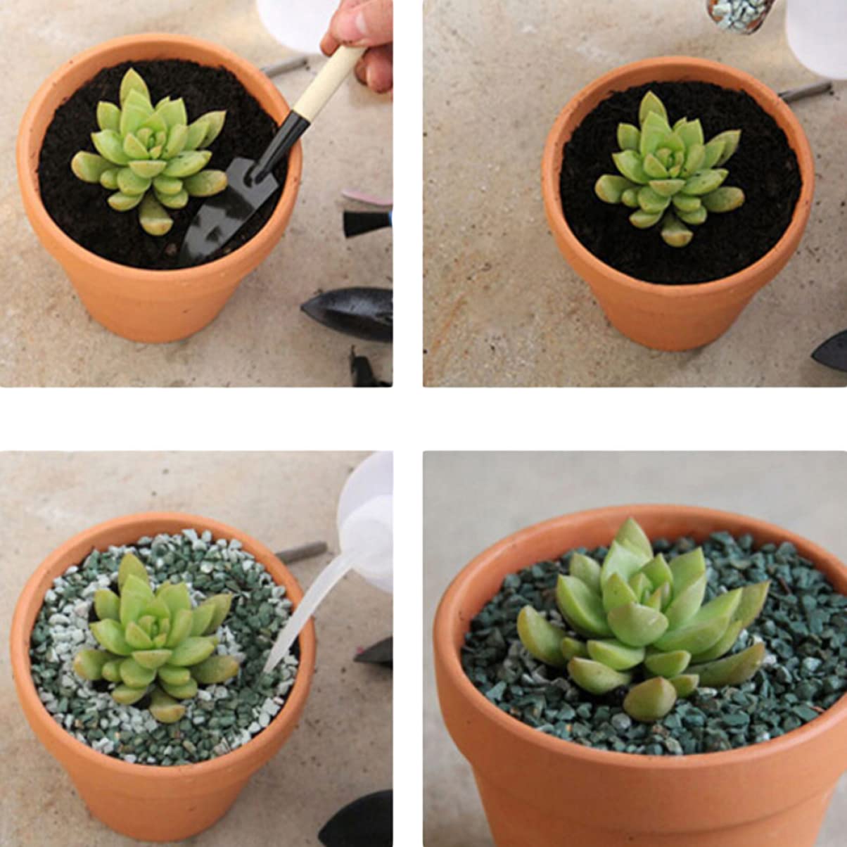 TOYANDONA 60 Pz Vasetti Terracotta Con Sottovaso 3,5 Cm Vaso Per Piante in Terracotta Vasi Per Fioriere in Piccoli Vasi Di Dargilla Piccola Ceramica Piccolo Cactus
