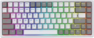 YUNZII KC84 84 Keys Hot Swappable Wired Mechanical Keyboard with PBT Dye-subbed Keycaps, Programmable, RGB,NKRO,Type-C Cable for Win/Mac/Gaming/Typist(Gateron Blue Switch,White)