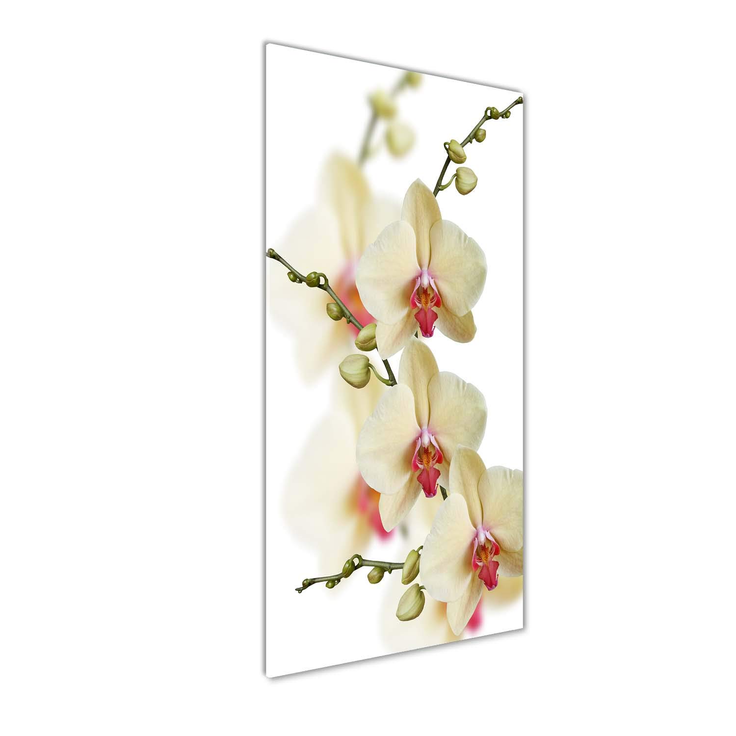 Tableau orchidée en verre trempé 50x125cm pour moderniser un mur sans charme