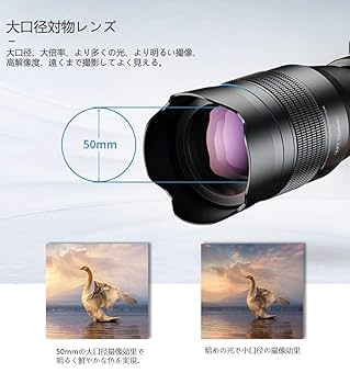 Nikon D60❤️近くから遠くまで撮れる❤️高倍率ズームレンズセット❤️スマホ転送 ✨スマホ転送可能✨ショット数2190回✨Nikon D60 レンズセット