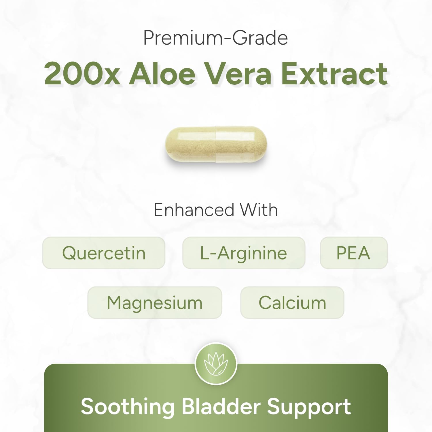 Aloe Vera Bladder Support Capsules – Organic Aloe Extract with Palmitoylethanolamide & Quercetin – Bladder & Pelvic Wellness Support – Non-GMO, Gluten Free – USA Manufactured– 90 Capsules