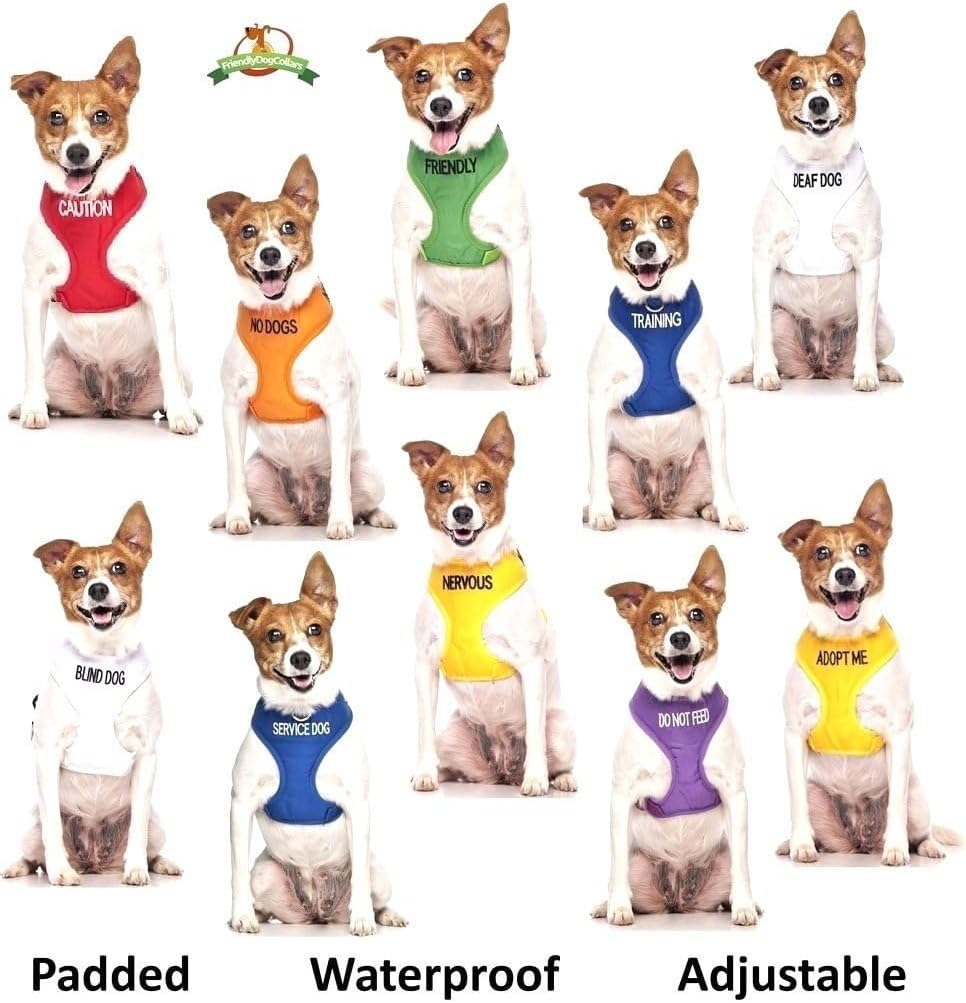 Friendly (Known as Friendly to All) Green Colour Coded Non Pull L-XL Dog Harness Prevents Accidents by Warning Others of Your Dog in Advance