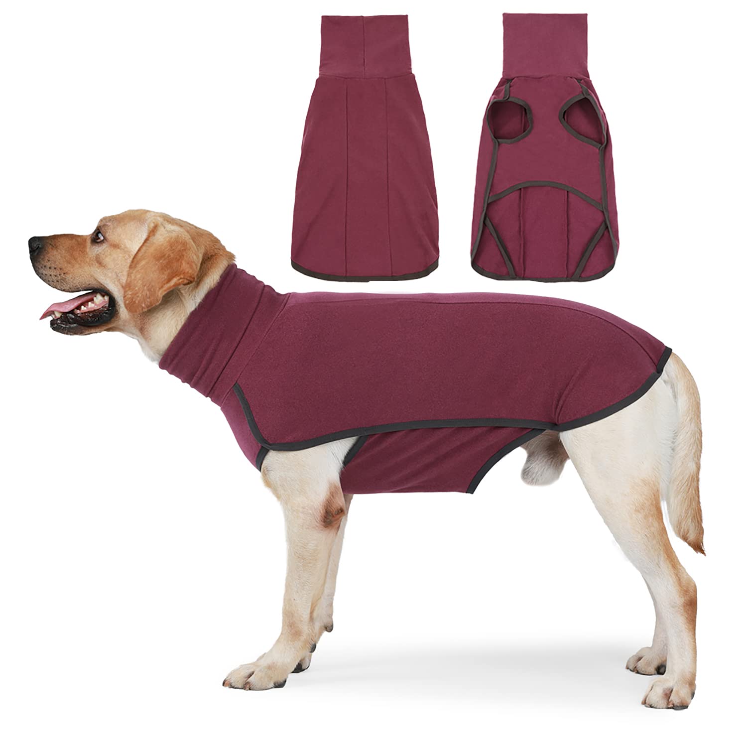 How Do You Measure A Dogs Bust