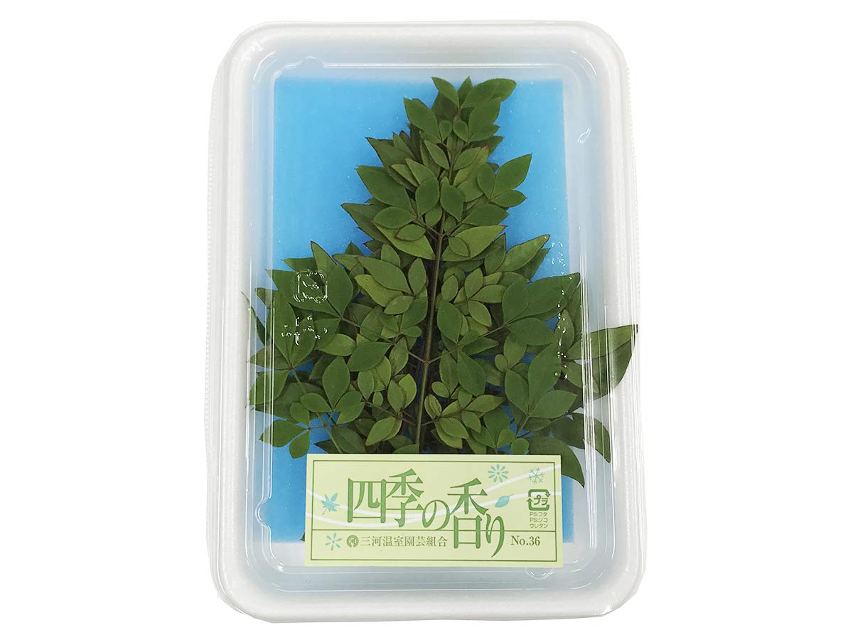 Amazon.co.jp: かざり葉 小葉南天タテ（縦詰め）10枚入り : 食品・飲料 