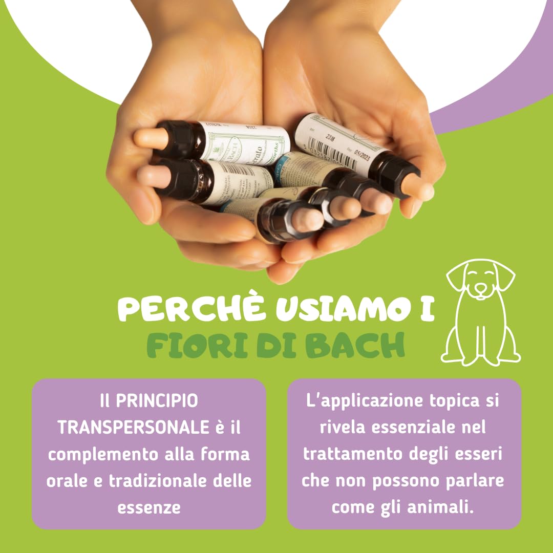 Crema LISINA(100ml)-Lozione per la dermatite del Cane-Utile in Caso di malassezia-AntiPrurito per Ferite e Allergie-Formula Naturale Human Grade a Base di Oli Essenziali e Fiori di Bach