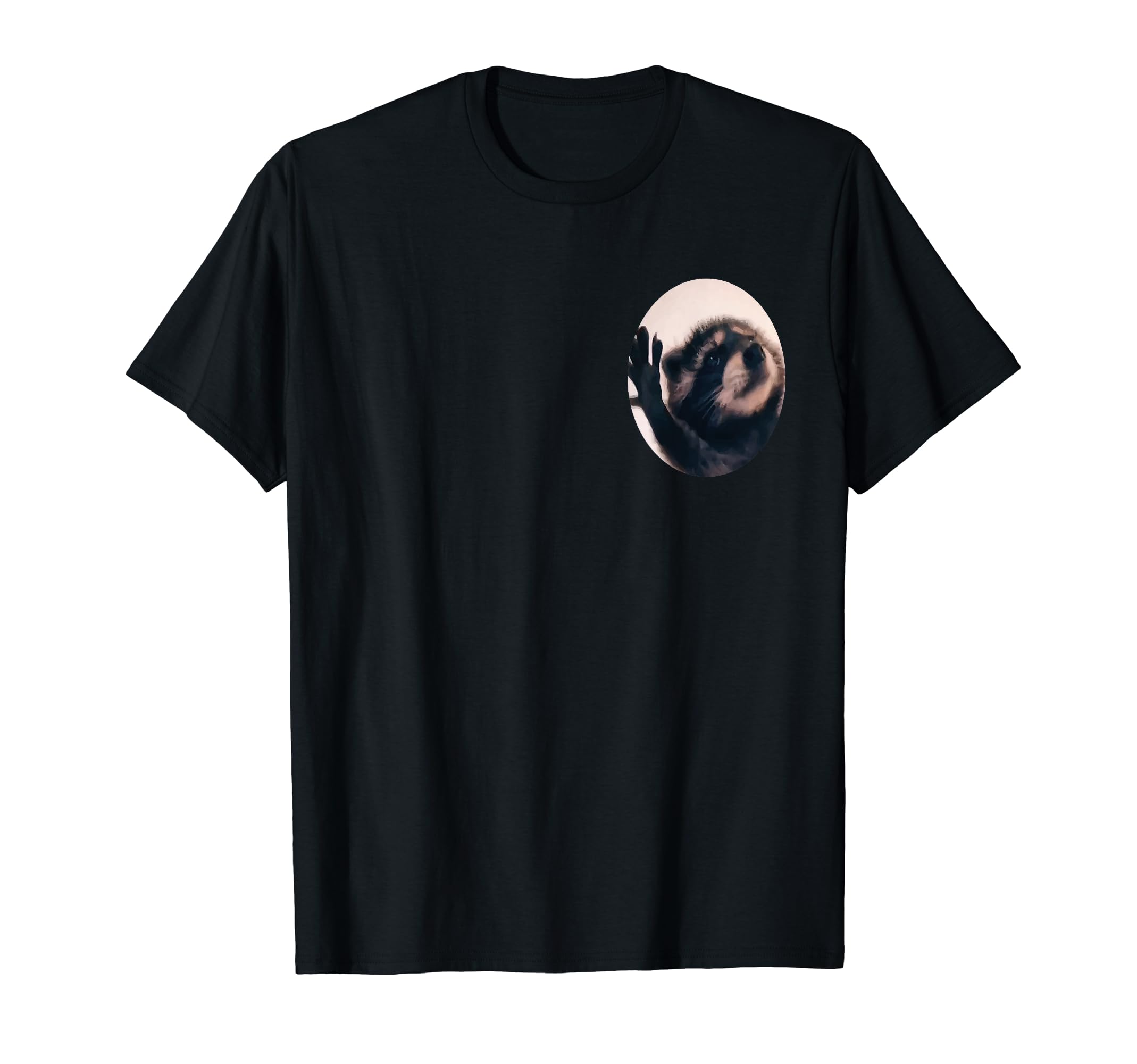 Pedro Racoon Dance Popular Internet Meme RACOON DAY T-Shirt