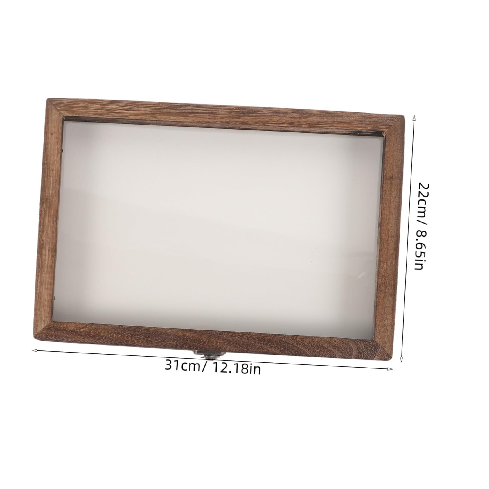 MUCKLILY Insect Specimen Display Case Pinning Board Elegant Acrylic Butterfly Pinning Box for Wall Decor and Storage Style