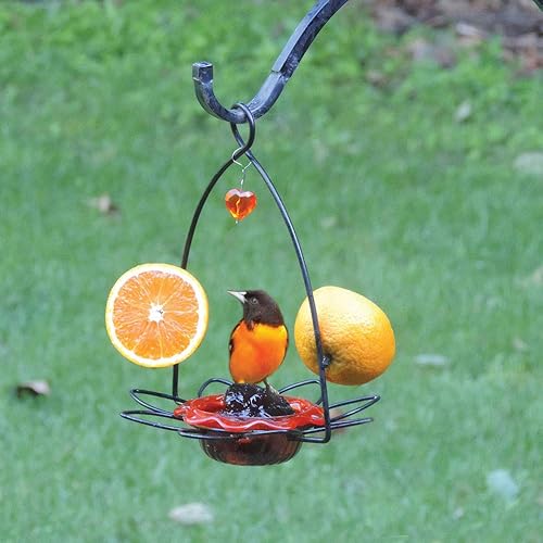Miniatura 6 de Birds Choice - Comedero para pájaros tamaño pequeño color anaranjado S