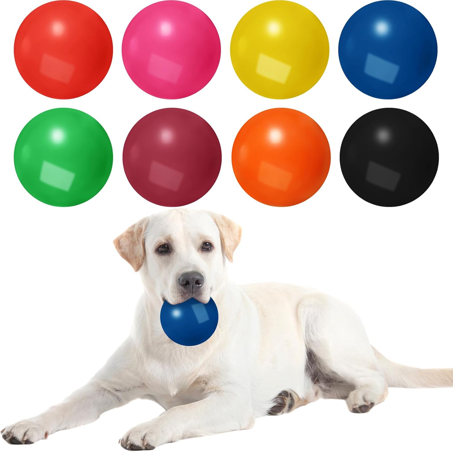 Pet Supplies Wettarn 8 Pcs Dog Balls Toys Tough Solid Rubber Bouncy