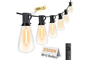 Outdoor String Lights 100FT with Remote, Warm White LED String Lights