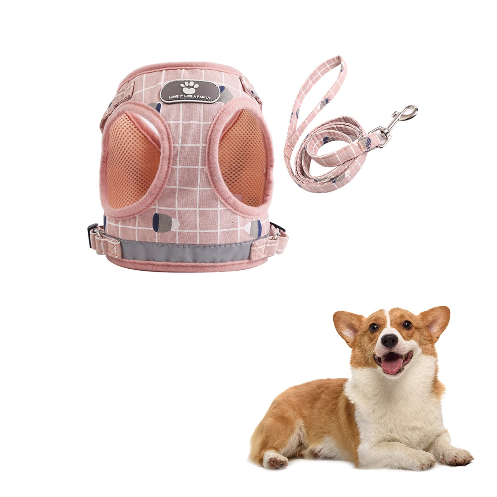 Dog Harness Breathable Pet Harness Vest with Leash Reflective Pet Chest Leash for Outdoor Walking and Training (XS)