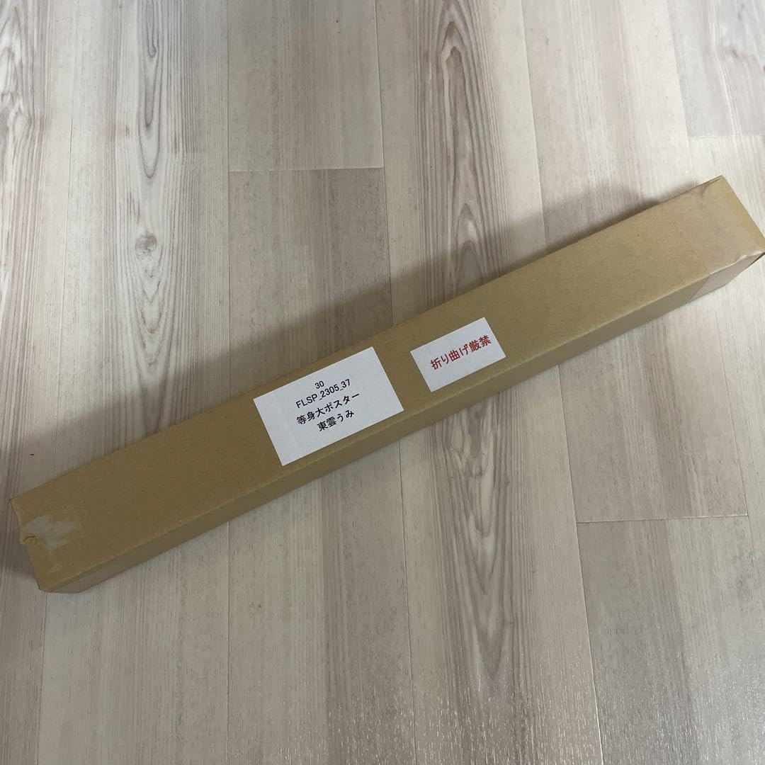 東雲うみ 等身大ポスター 新品未開封 FLASHスペシャル フラッシュスペシャル 東雲うみ 等身大ポスター 新品未開封 FLASHスペシャル