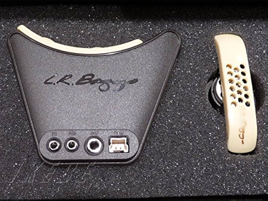 Amazon.co.jp: L.R.Baggs ◇上位バージョン Anthem