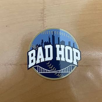 Amazon.co.jp: badhop 東京ドーム ステッカー : おもちゃ