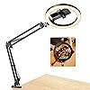 Upgrade Ring Light Overhead Phone Mount, Evershop Selfie Ring Light with Stand and Phone Holder,10”Circle LED Desk Ring Light with Clamp for Video Recording,Zoom Meeting,Live Streaming Tiktok,YouTube
