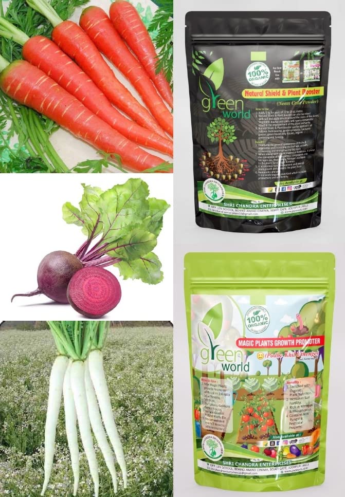 green world combo of [radish all season + carrot f1 long + beet root] seeds with organic nutrients manure