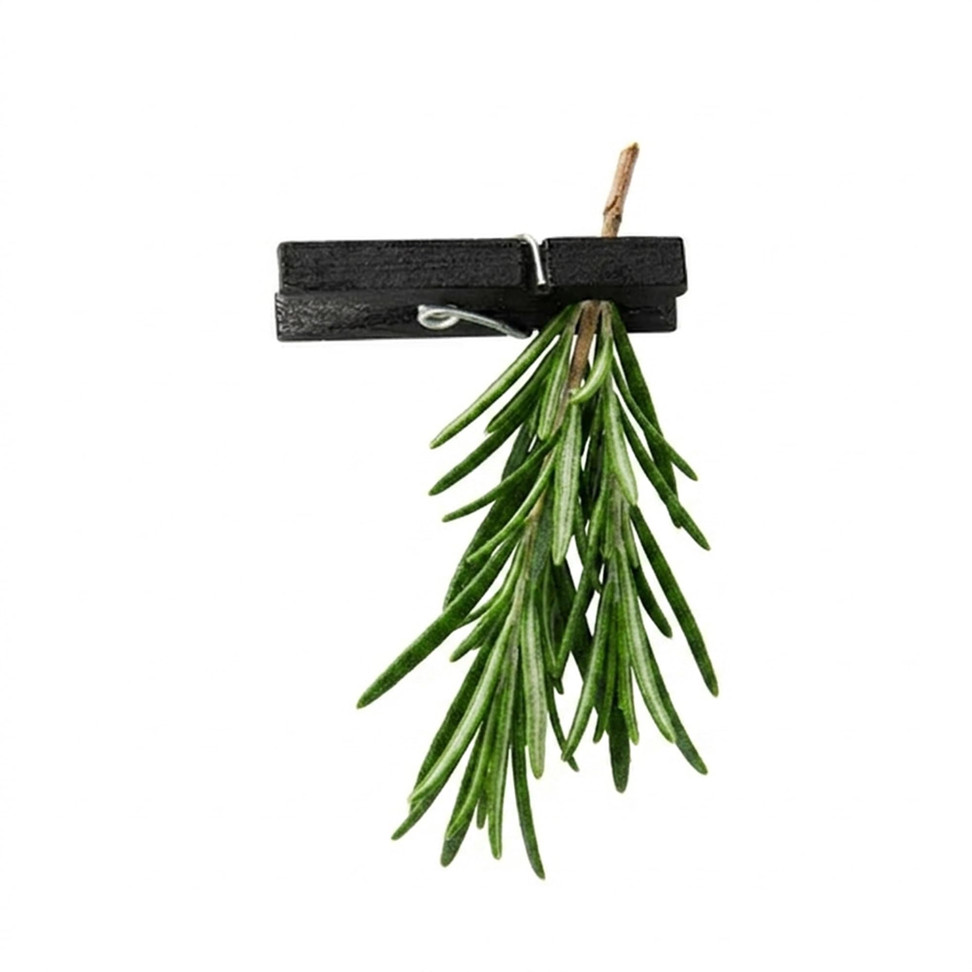 Restaurantware Mini-Wäscheklammern, Bambus, schwarz, 3,3 x 1 cm, 10000 Stück