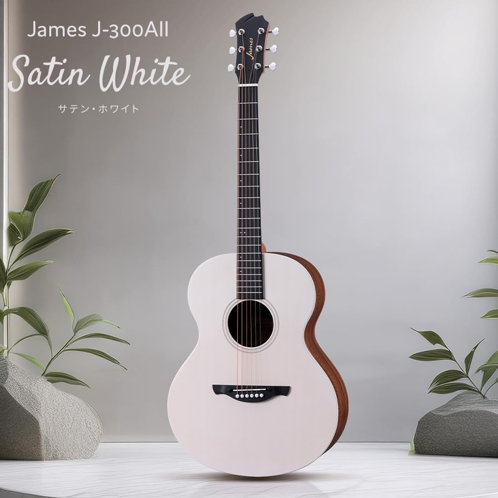 Amazon | James J-300AII 超初心者セット バイオリンサンバースト