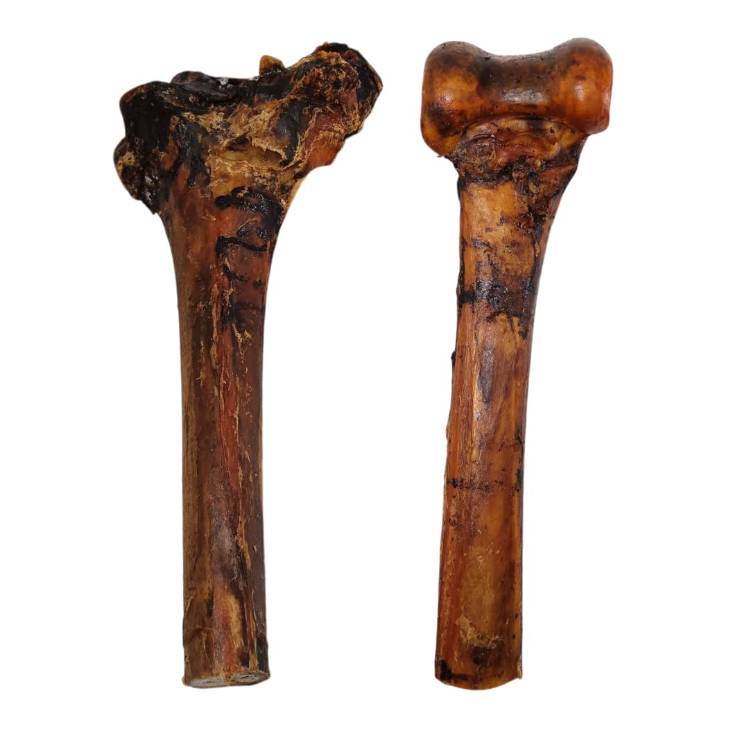Premium Ostrich Bone for Dogs by Britten and James (Pack of 2). Very Long Lasting, 100% Natural, Low Fat Dental Chews