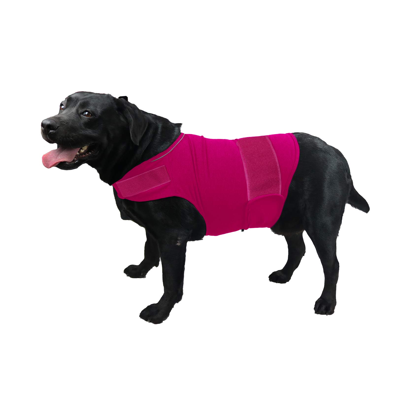 Comfort Dog Anxiety Relief Coat, Dog Anxiety Calming Vest Wrap for Thunderstorm,Travel,Fireworks,Vet Visits,Separation XS Small Medium Large XL Dog(XL,Rose)