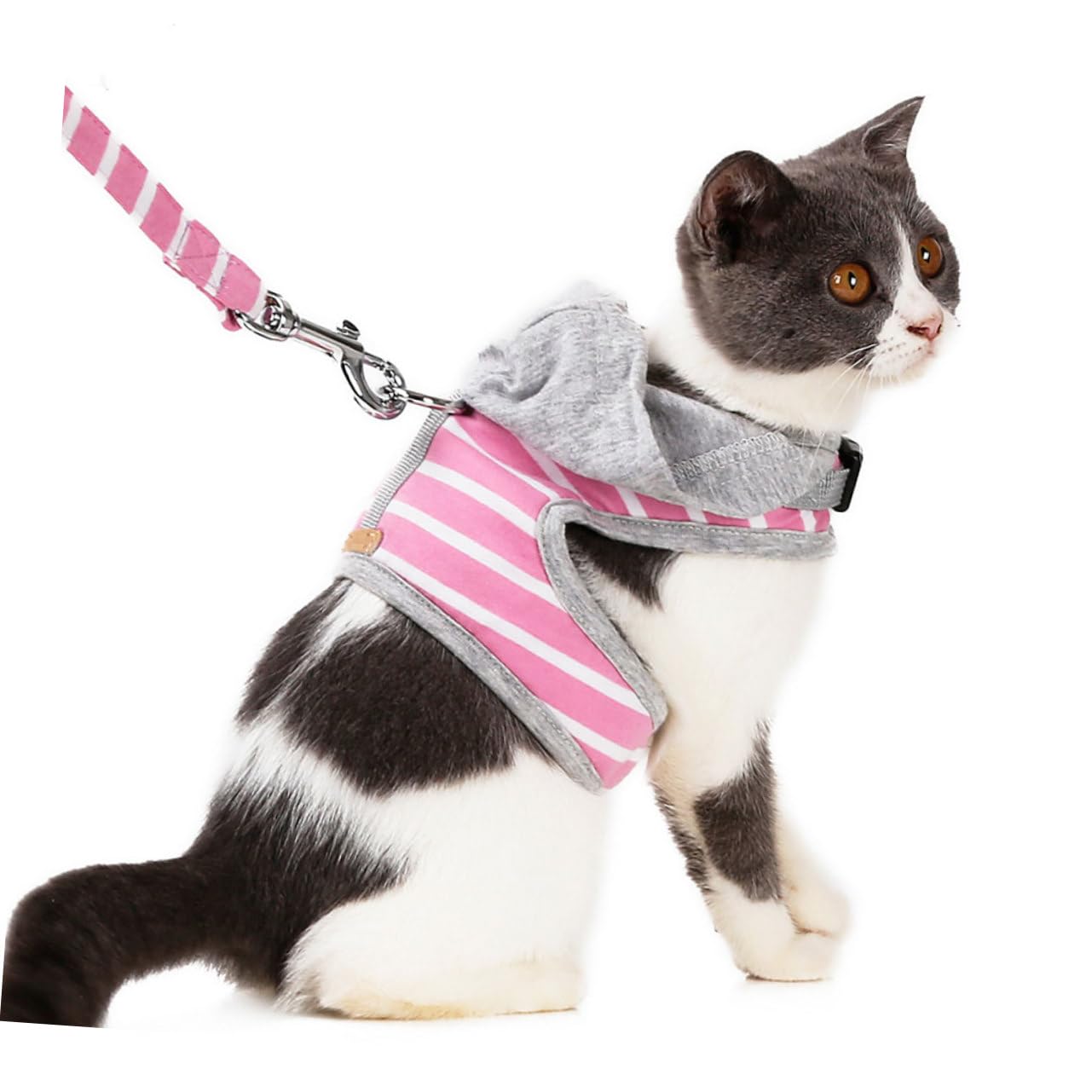 Toddmomy 3pièces Harnais Et Laisse Rayé pour Chat Gilet De Promenade Confortable Et Sécurisé Sangle Ajustable pour Chats pour Et Entraînement