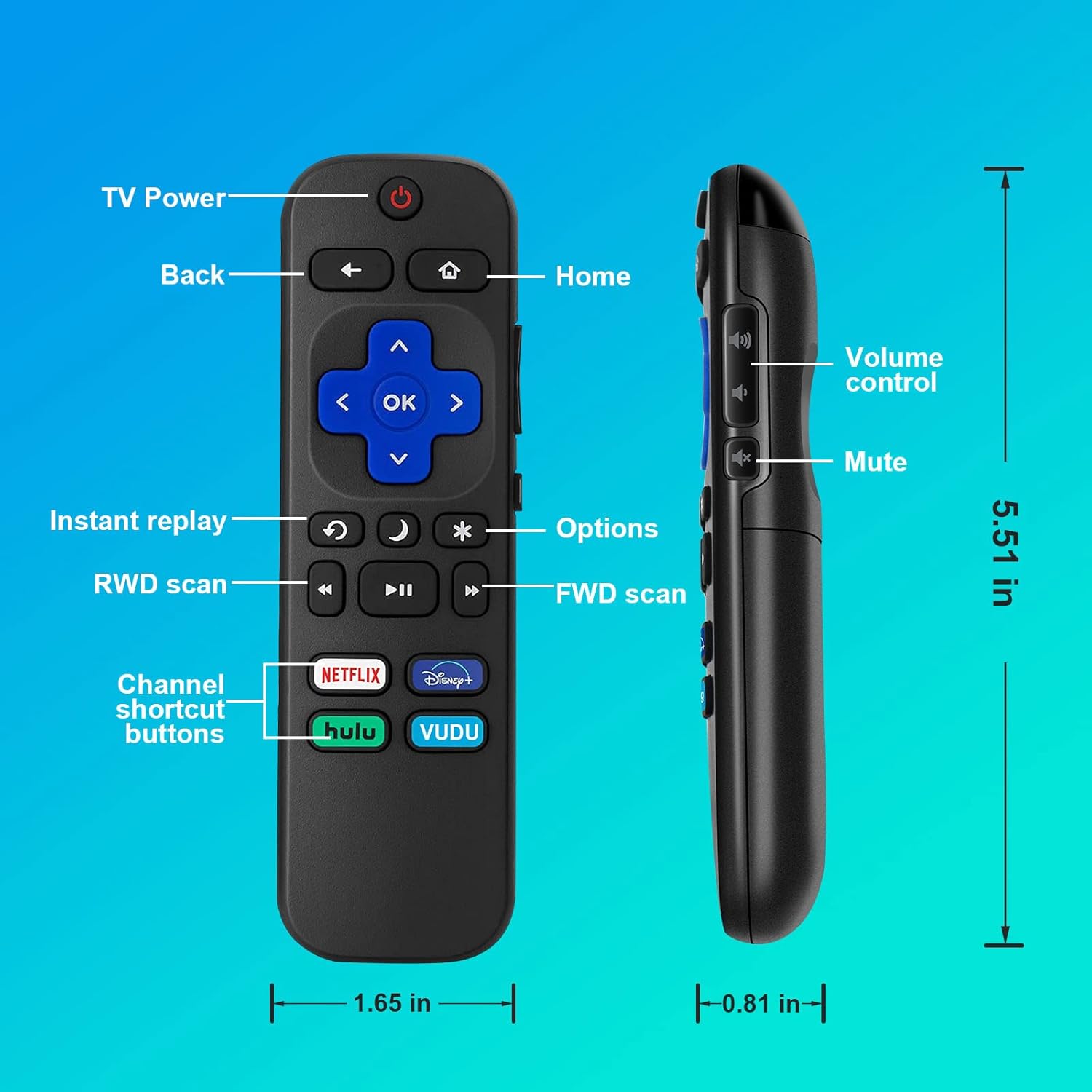 Buy Universal Replacement Remote for Roku TV, Compatible with Hisense