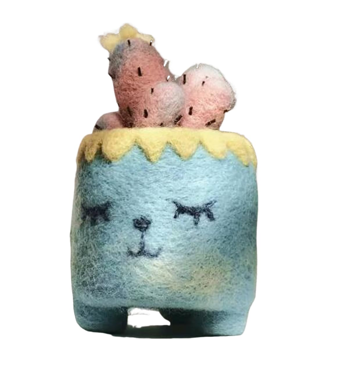 YJIUYUANQ Needle Felting Kit Cactus Full Range of Wool Felted Set DIY Crafts