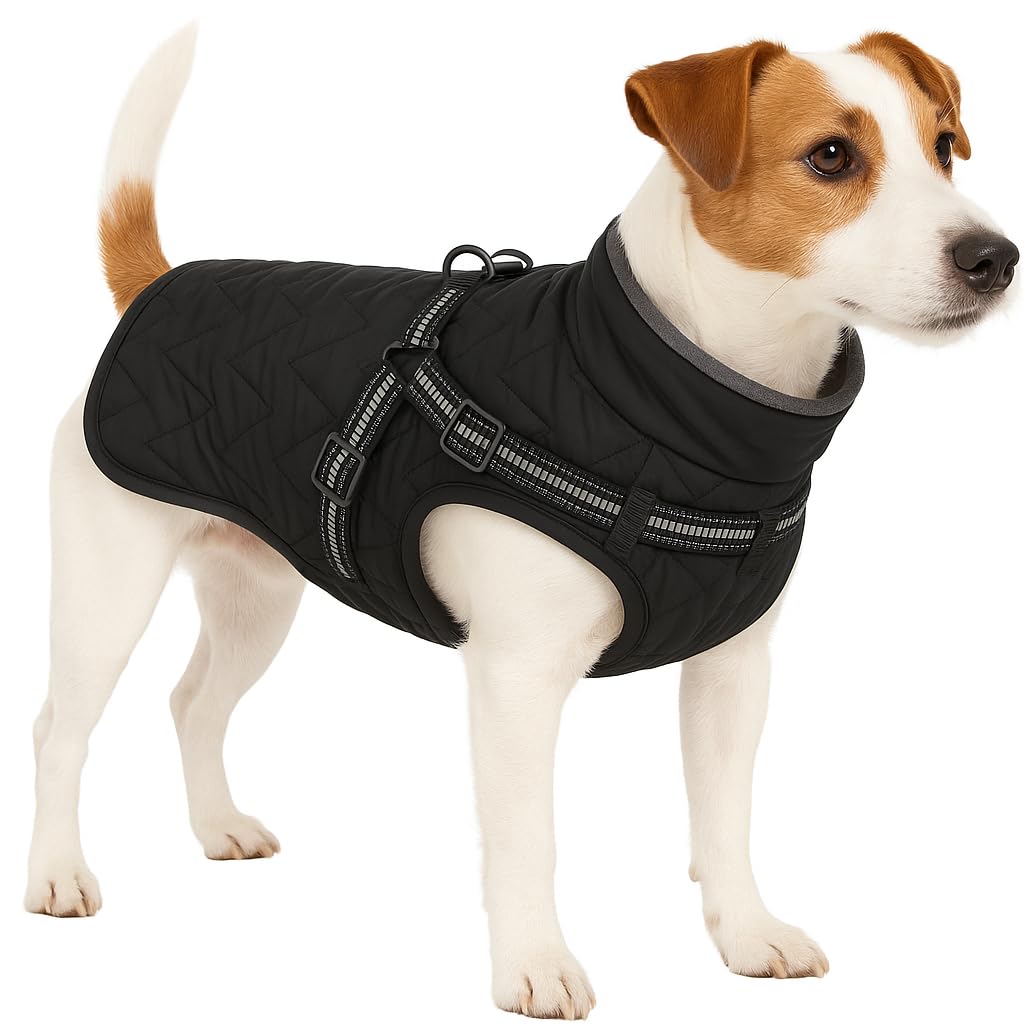 Flamingo WINTER COAT DUKER BLACK 35CM
