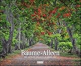 linde baum frucht  Bäume – Alleen 2021 – Wandkalender 52 x 42,5 cm – Spiralbindung