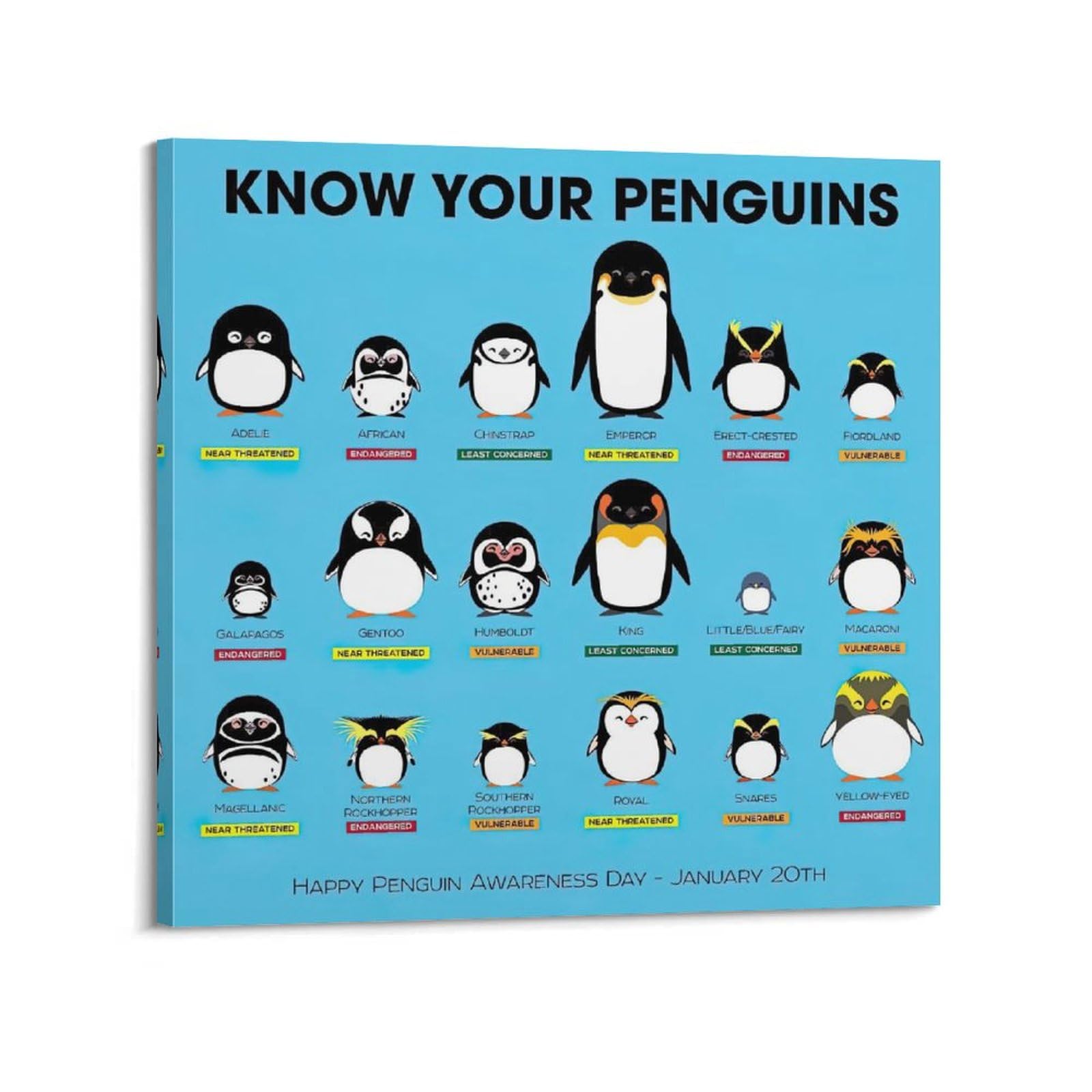 GLMHOK Vintage Animal Poster Know Your Penguins Decorative Painting Canvas Poster 28x28inch(70x70cm)