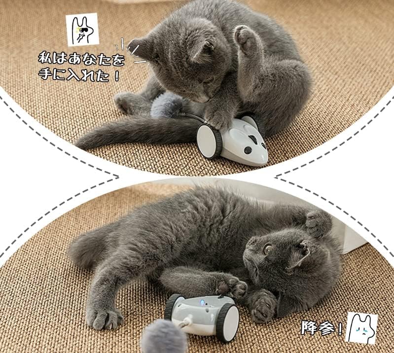 Amazon | 猫 おもちゃ 電動 自動 ねずみ 猫 リモコン おもちゃ