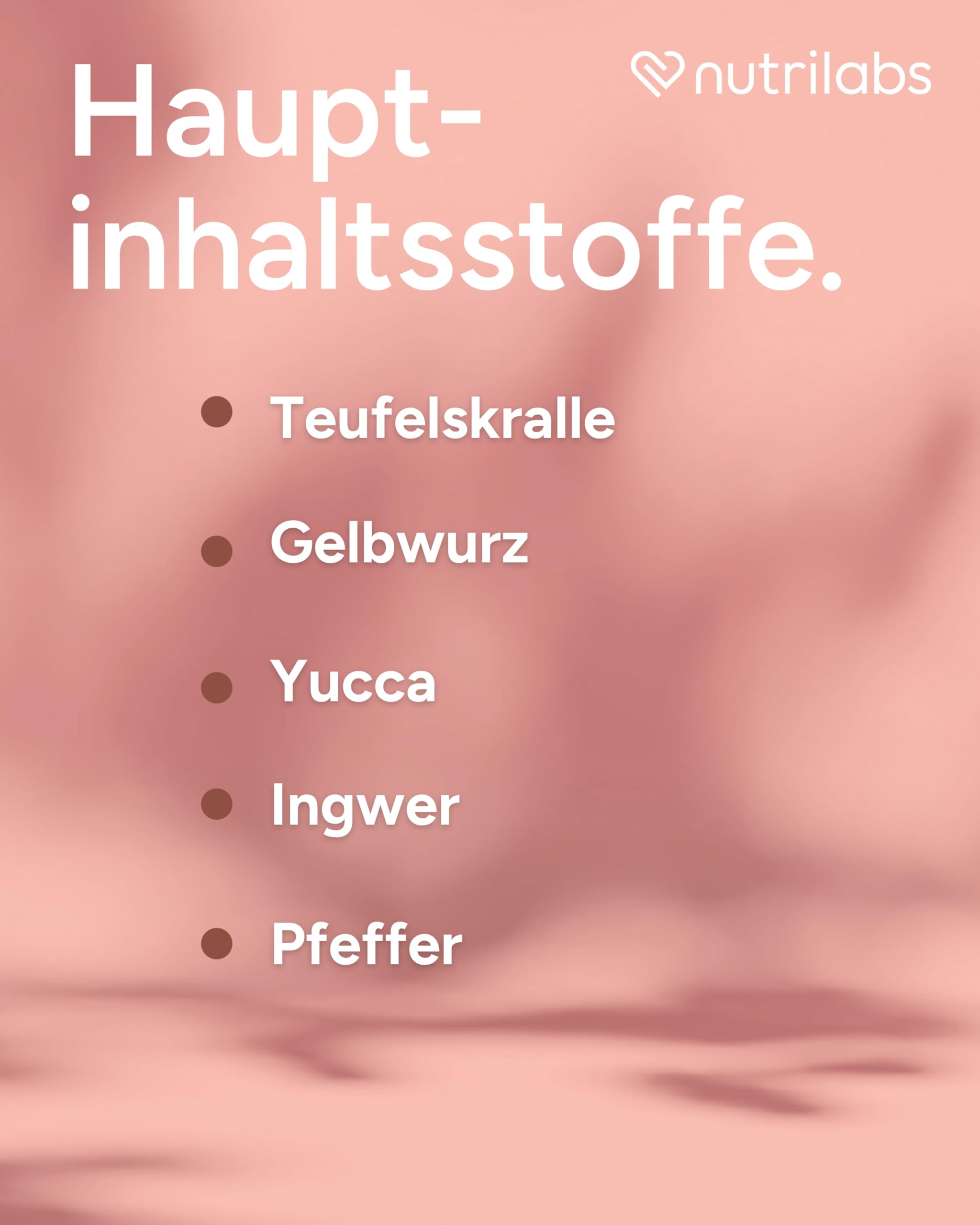 NutriLabs Quattro-Dolor forte Bewegungssaft für Pferde 1 L - mit Gelbwurz-, Ingwer-, Teufelskrallen-Extrakt u.v.m. - Teufelskralle - Pferde-Nahrungsergänzungsmittel - Bewegung