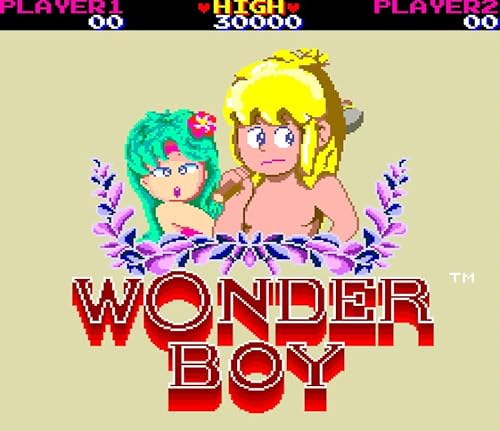 Wonder Boy Collection Nintendo Switch - vue 8