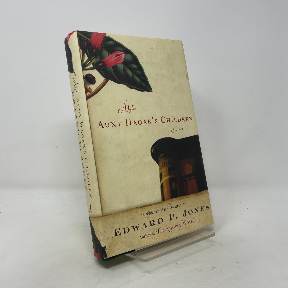 Buy All Aunt Hagar's Children: Stories โ BookShops.in