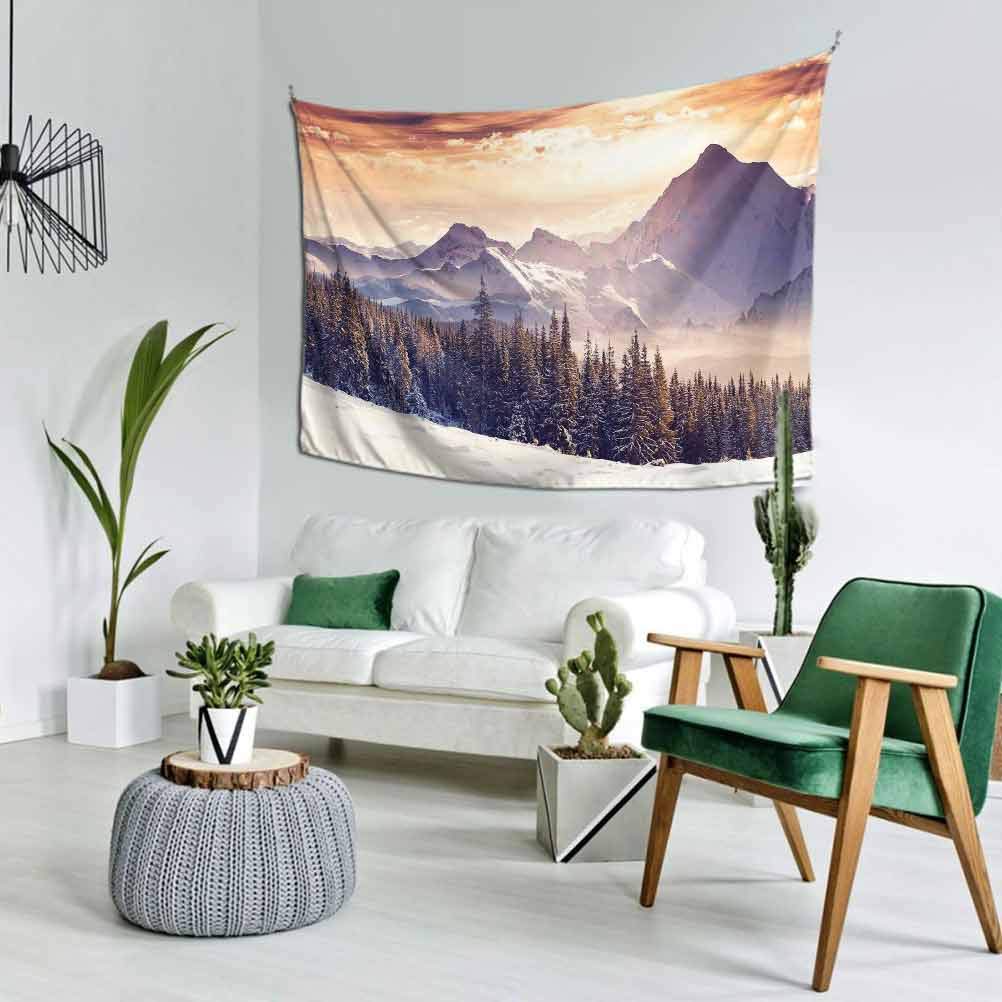 Nature Fashion Tapestry Evening Winter Landscape with Dramatic Surreal Overcast Sky and Majestic Mountains Bedroom Home Decor Multi 60x40 Inch