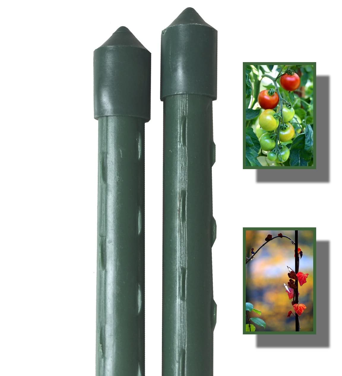 pflanztopf mit bewsserung Pflanzgef CYRA  40 cm mit Bewsserungseinsatz  VidaAtHome.de