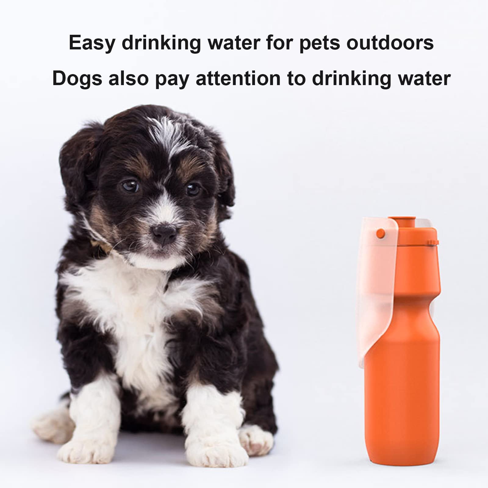 Suministros para Mascotas, Taza de Agua Portátil para Perros, Hervidor de Comida, Tazón de Agua de Viaje, Taza para Caminar para Perros al Aire Libre