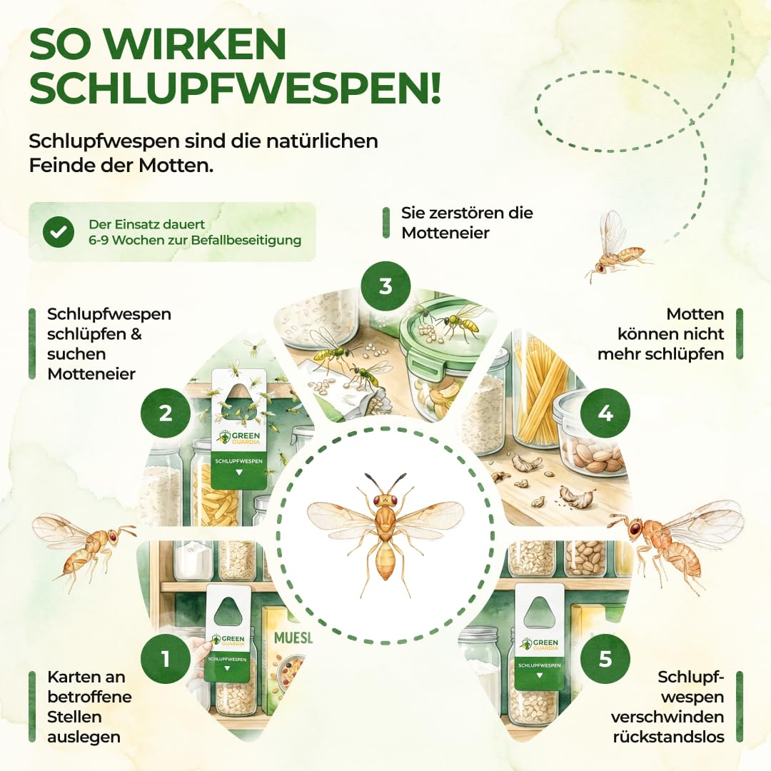 GREEN GUARDIA Schlupfwespen gegen Lebensmittelmotten - 5 Karten à 1 Lieferung - Effektiv & unweltfreundlich Lebensmittel Motten bekämpfen - Alternative zur Mottenfalle, Mottenspray, Pheromonfalle