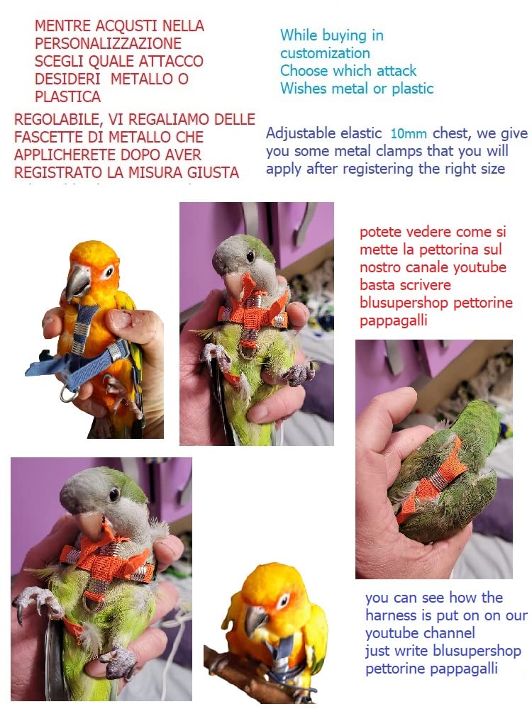 super offerta PETTORINA PAPPAGALLI MISURA calopsite corda 3mm elastica E nastro 10mm, 2 attacchi,METALLO O PLASTICA REGOLABILI GUINZAGLIO 3mm nero 1M + amuleto