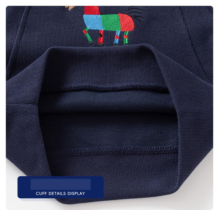 Irsutey Baby Boys Cartoon Embroidered Solid Color Crew Neck Loose Sweatshirt Long Sleeve Shirt Tops 5