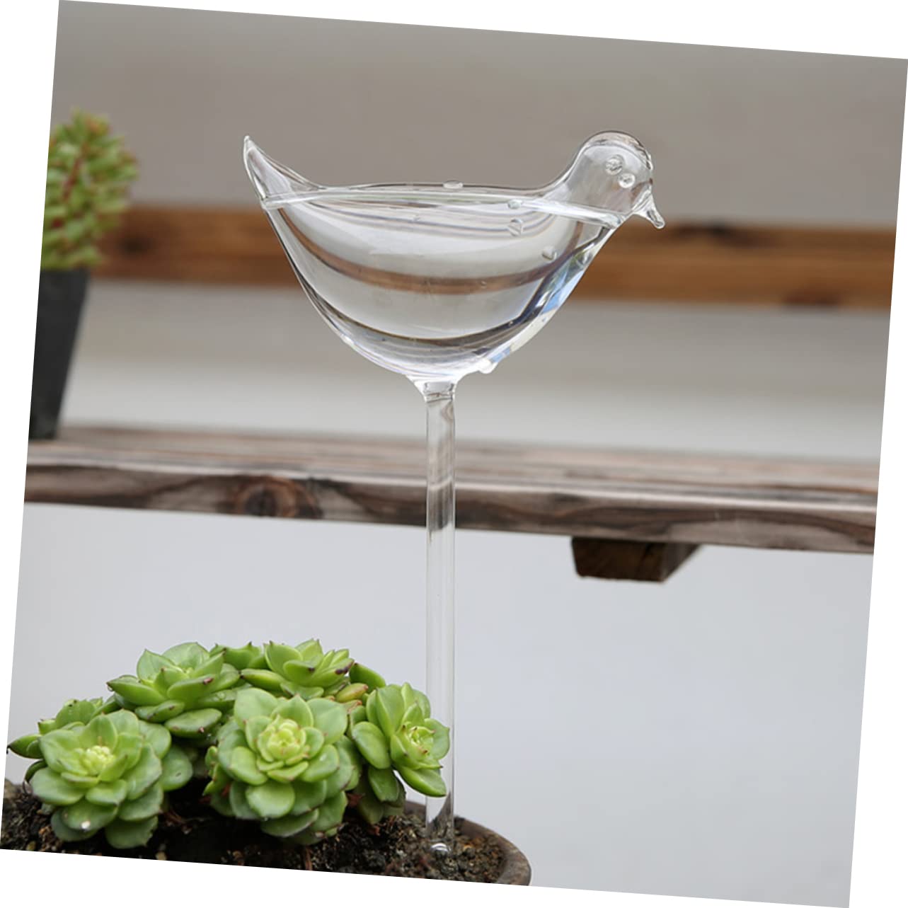 Hemobllo Irrigatore per Piante 4 Pezzi in Vetro Borosilicato Autoirrigante | Trasparente, Uso Semplice per Viaggi e Festival, Confezione Schiuma e Scatola di Carta
