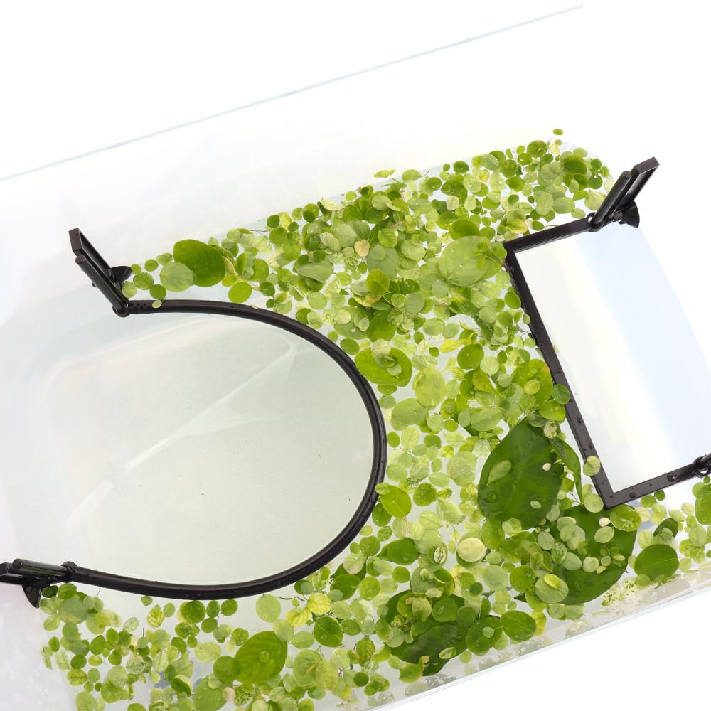 Mangeoire à poissons et décoration d'aquarium flottante réglable