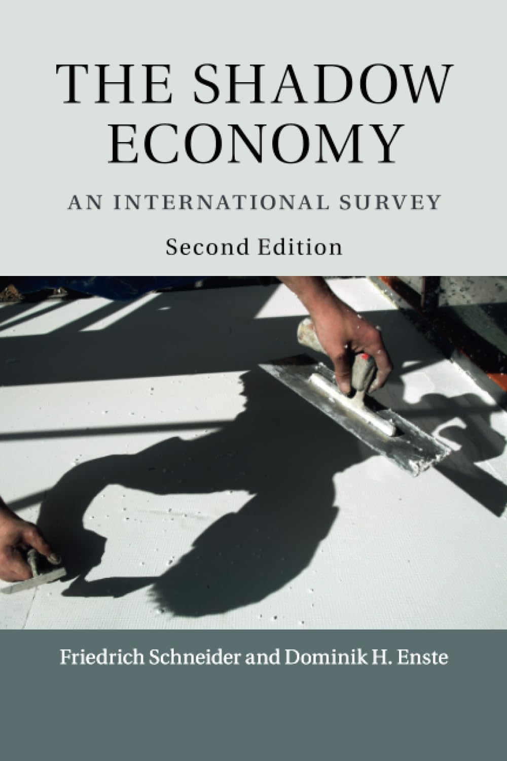 The Shadow Economy by Friedrich Schneider, Dominik H. Enste - 9781316600894