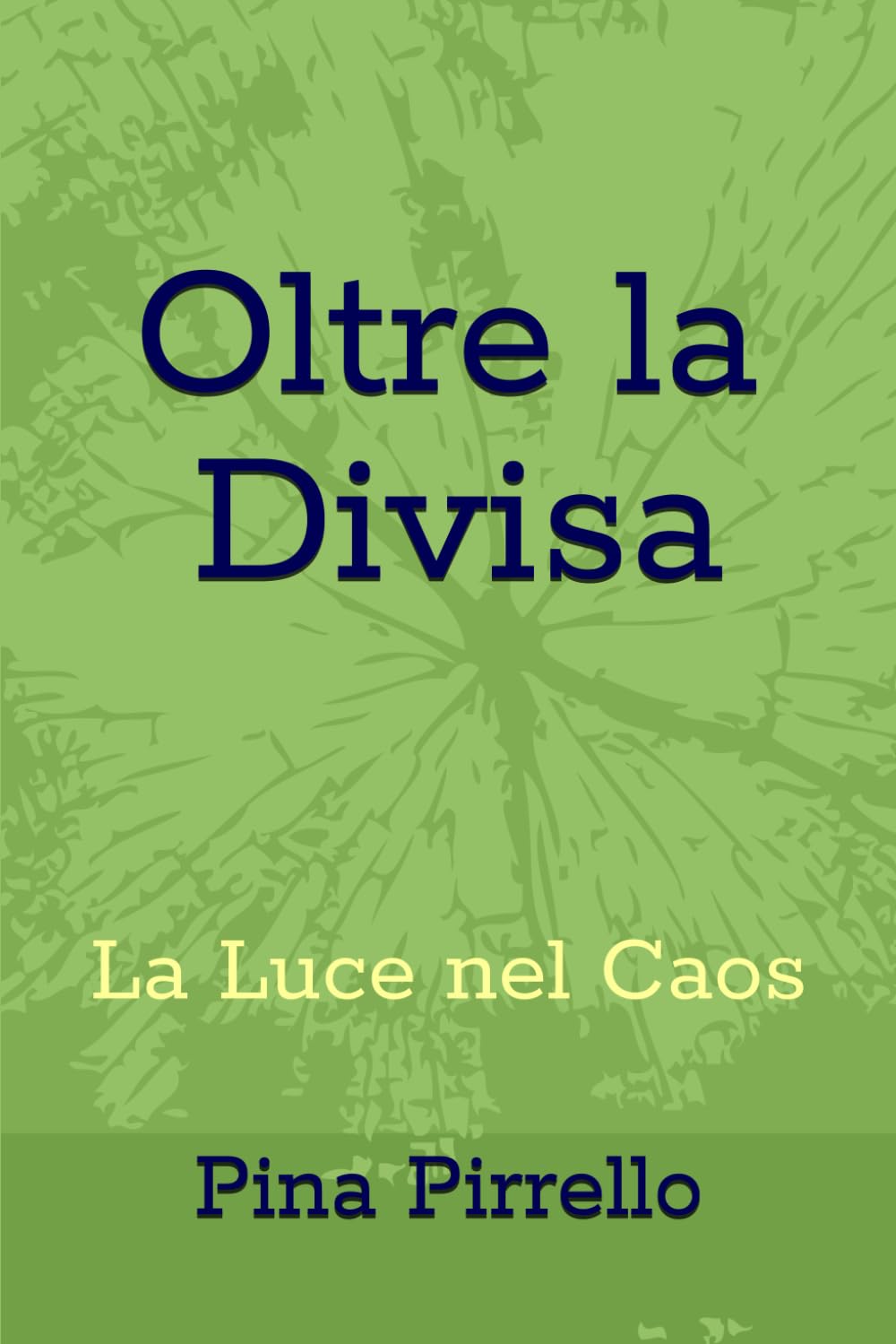 Oltre la Divisa: la Luce nel Caos (La Divisa e l'Anima)