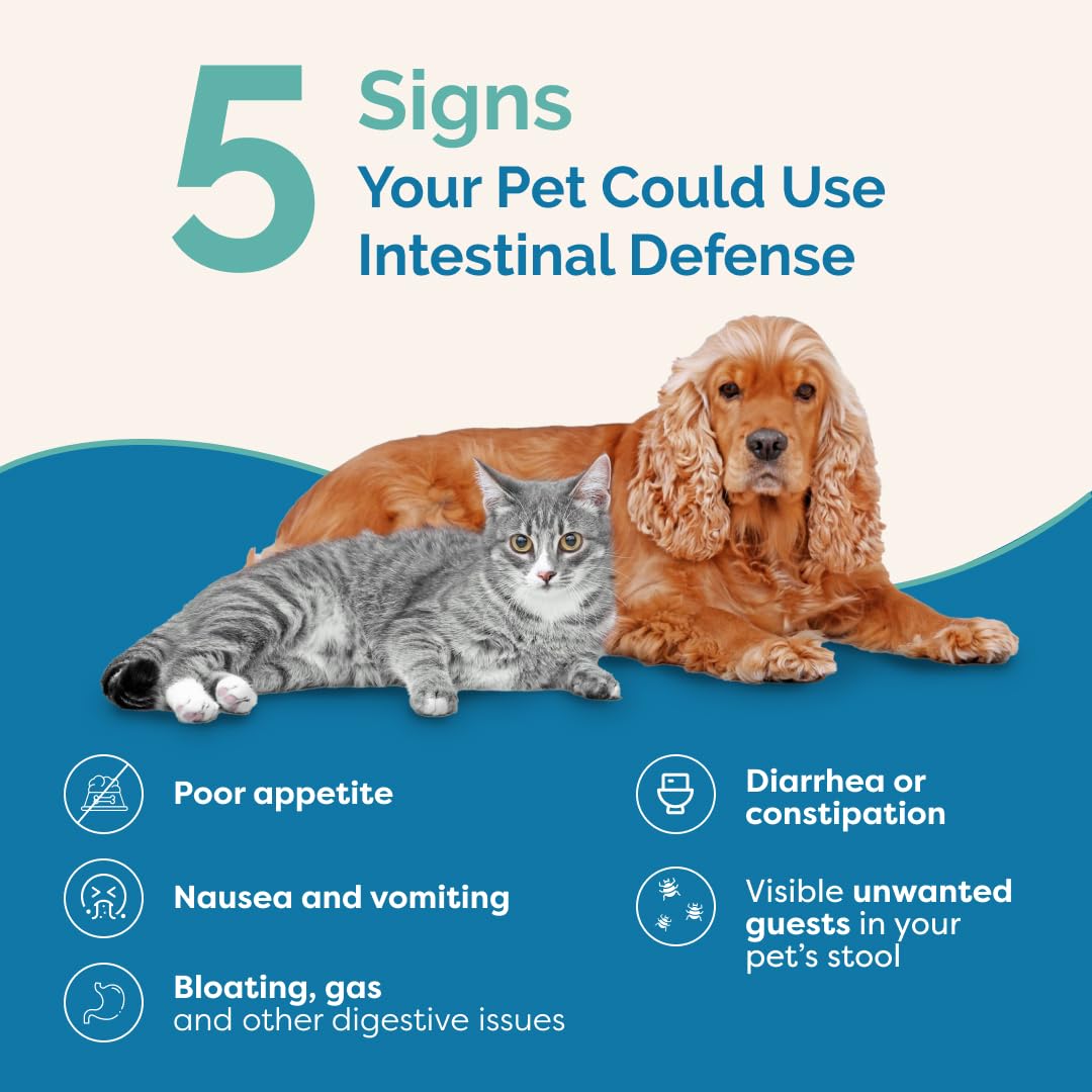 PranaPets Intestinal Defense Supplement for Dogs & Cats | Naturally Helps Digestive Issues in Pets | Herbal Formula