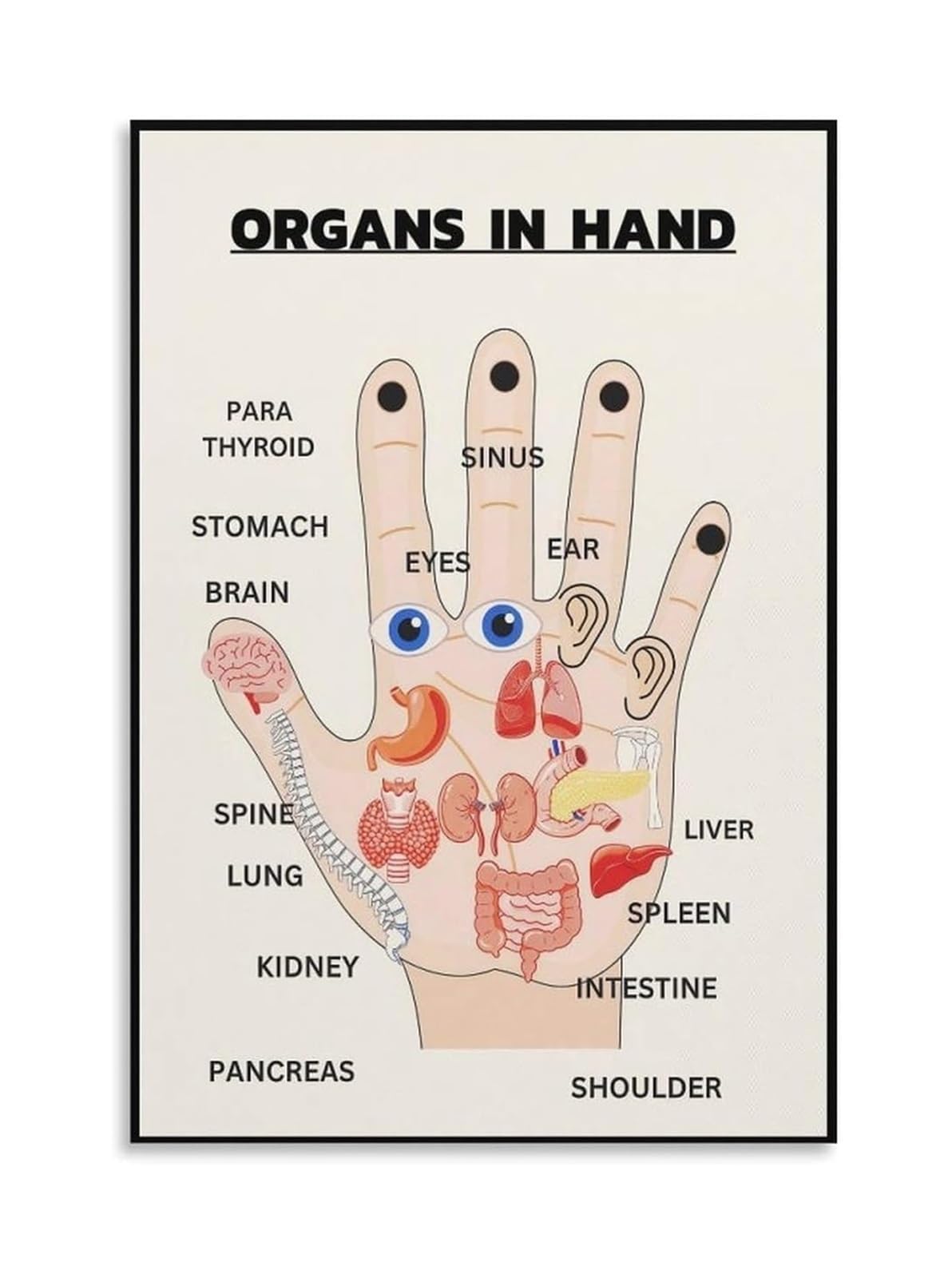 LLBOGRGGN TCM Body Organs and Meridian Diagram Educational Poster Canvas Wall-Art for Study Room Decor(Unframed,12x18inch(30x45cm))