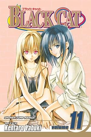 BLACK CAT 2 (ジャンプコミックス) | 矢吹 健太朗 |本 | 通販 | Amazon