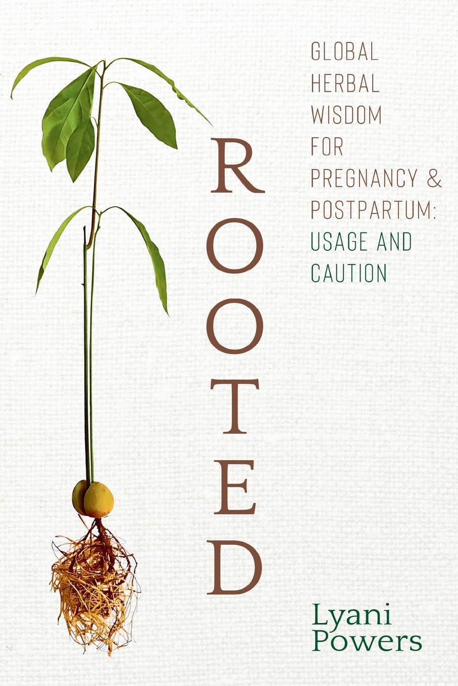 Rooted: Global Herbal Wisdom For Pregnancy & Postpartum: Usage and Caution